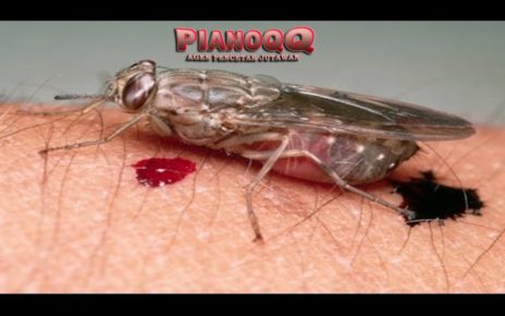 7 Serangga Mematikan & Paling Berbahaya