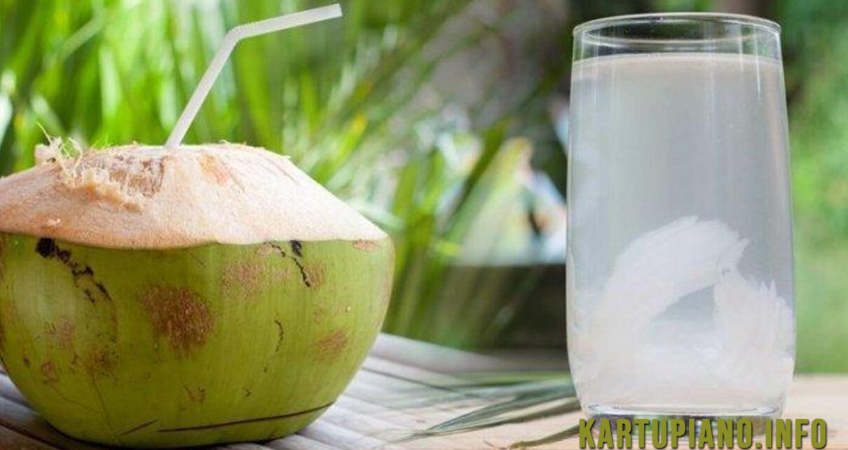 4 Manfaat Air Kelapa Hijau, Minuman Perkuat Sistem Kekebalan Tubuh