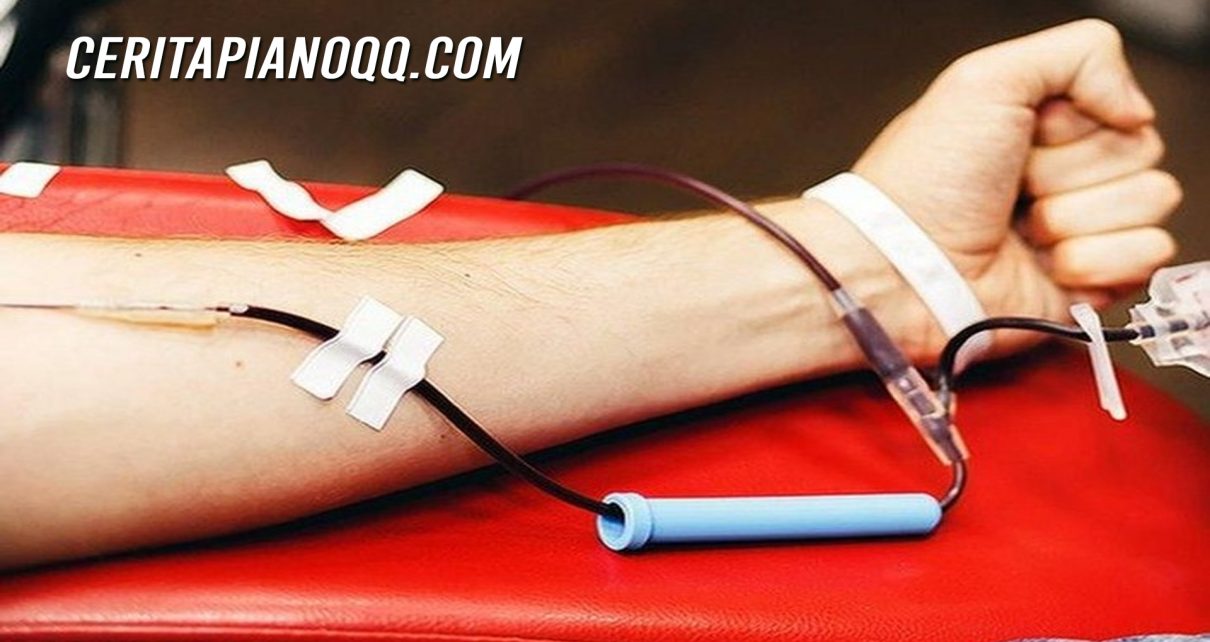 3 Manfaat Sehat Setelah Melakukan Donor Darah