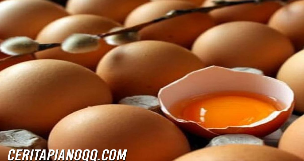 Hati hati, Ini Efeknya Jika Makan Telur Setiap Hari