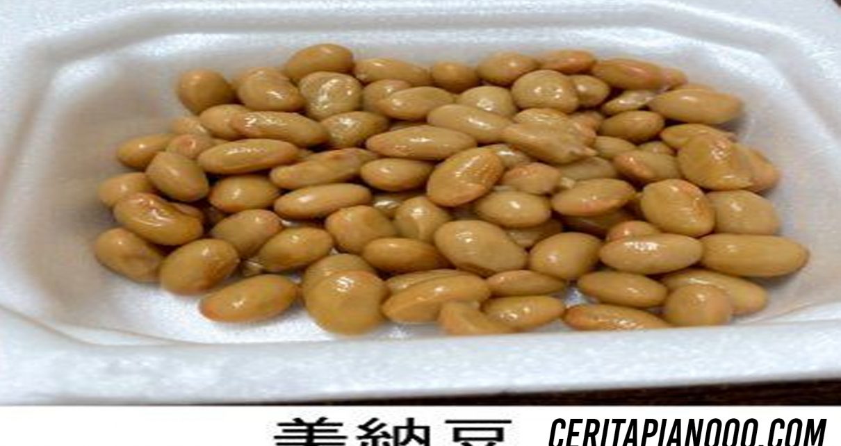 Natto Tercantik Di Dunia Terlihat Bersih Tidak Berlendir