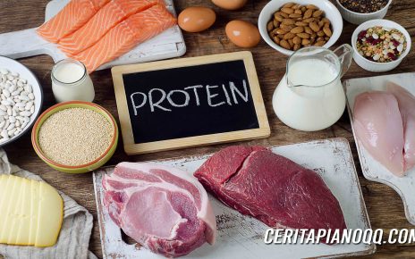 5 Sumber Protein yang Bisa Disimpan di Kulkas dalam Waktu Cukup Lama