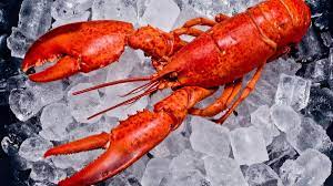 Beberapa Manfaat Lobster untuk Kesehatan