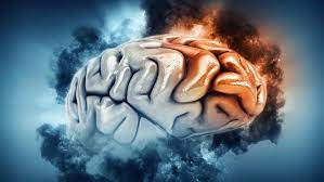 Kebiasaan Yang Membuat Otak Lemot