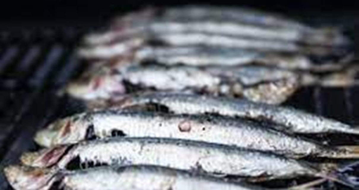 Kenali Manfaat Luar Biasa Ikan Shisamo