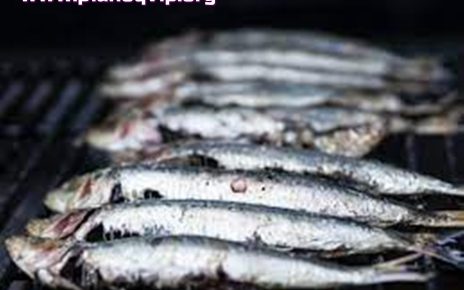 Kenali Manfaat Luar Biasa Ikan Shisamo
